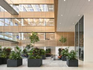 CF024450-Edit-Edit-Edit-2