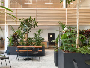 CF024536-Edit-Edit-Edit