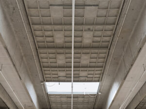 DSCF6131-Edit